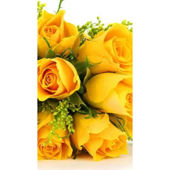 No1 Yellow Rose 
